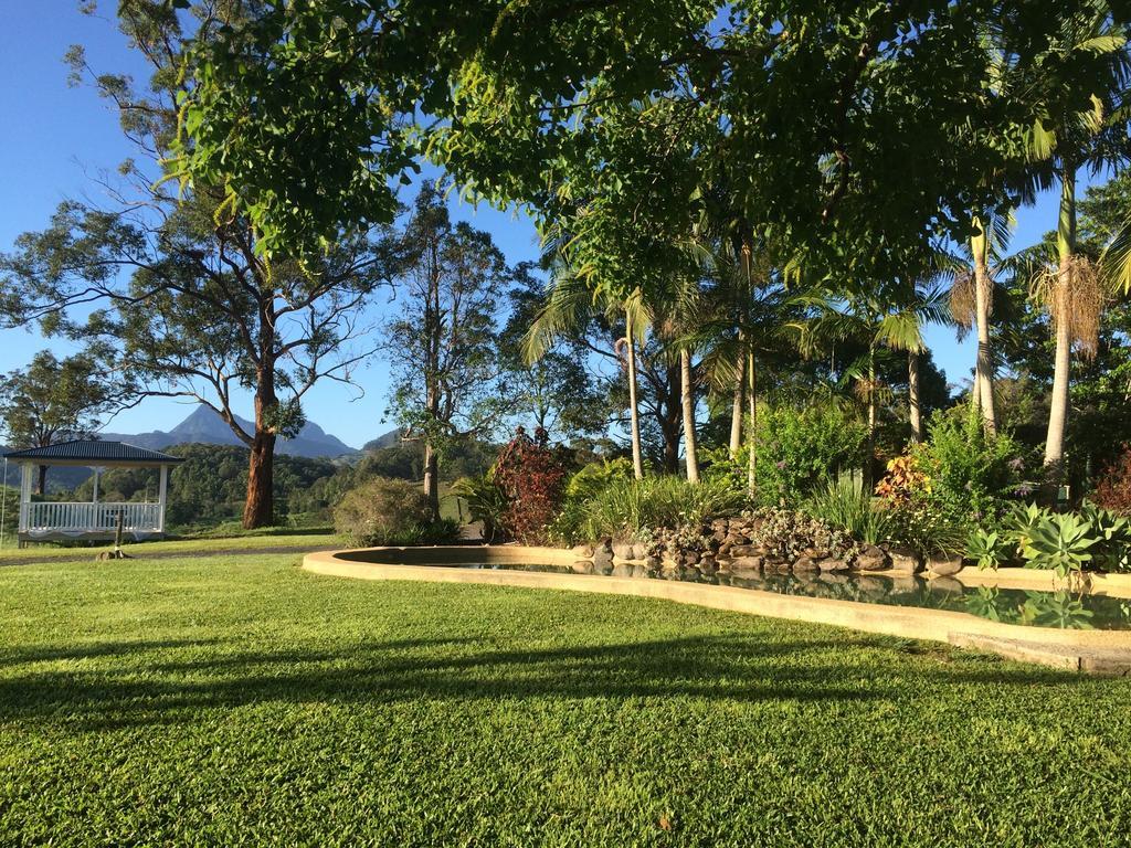 Hillcrest Mountain View Retreat Bed & Breakfast Crystal Creek Exterior foto